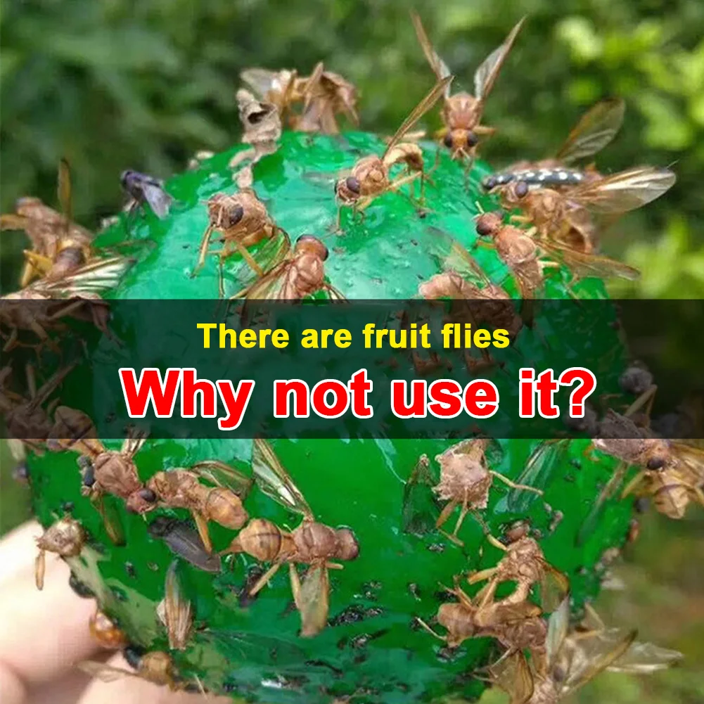 Ловушка для мушек многоразовый Отпугиватель вредителей 1 шт. | Дом и сад