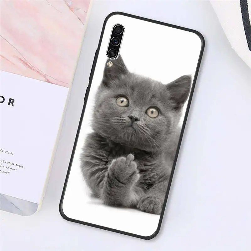 

cat funny Cute animal Phone Case For Samsung galaxy A S note 10 7 8 9 20 30 31 40 50 51 70 71 21 s ultra plus Luxury brand shell