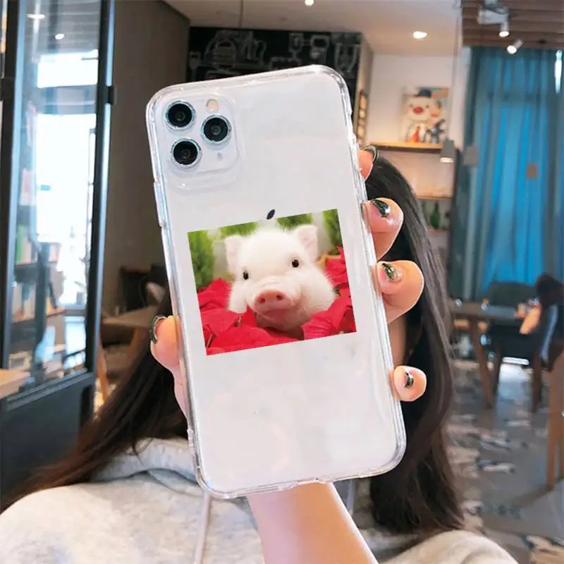 

pet pig Aesthetic art design pattern Phone Case Transparent soft For iphone 5 5s 5c se 6 6s 7 8 11 12 plus mini x xs xr pro max