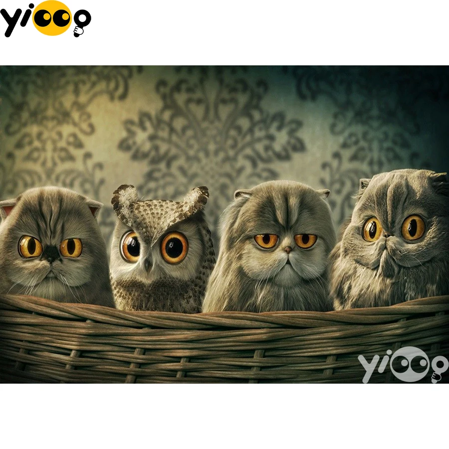 

Full Square/Round Drill Diamond Painting Cross Stitch Embroidery Four Owls Baby Rhinestone Mosaic Home Decor Gift BX2216