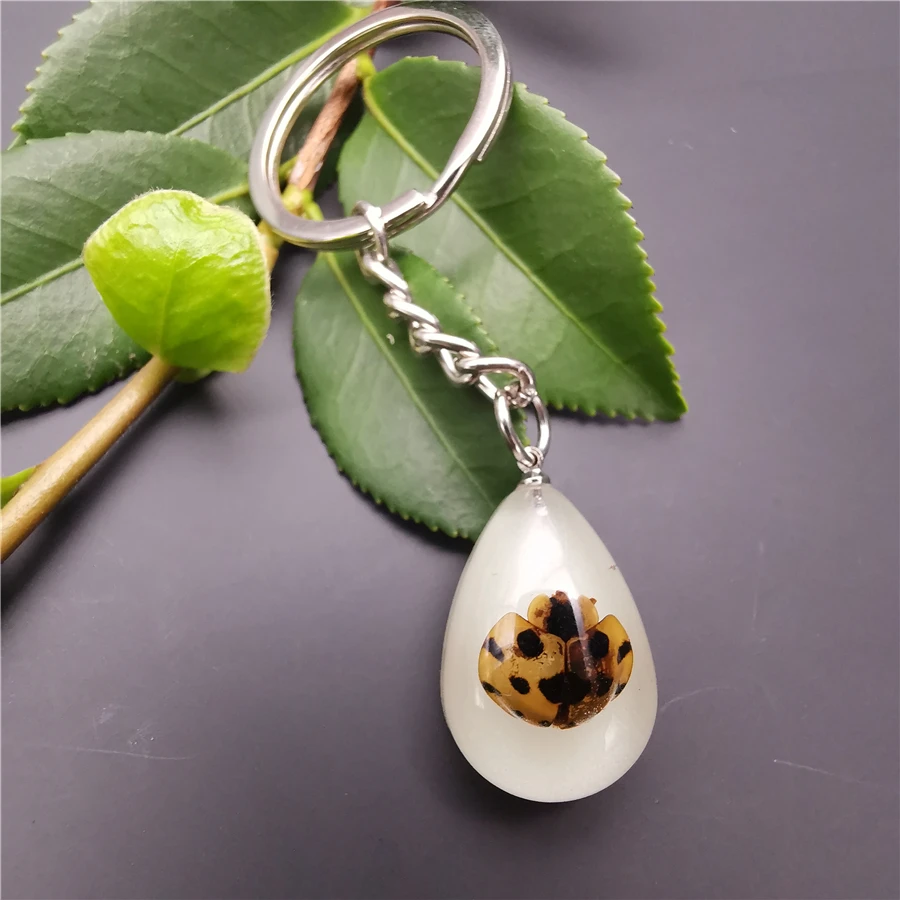 10pcs Scorpion Crab Keychain Glow in the Dark Real Insect Keychain Beetle Keychains for MenKey Ring Specimens Collecting Trinket