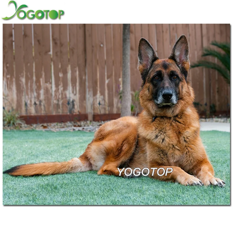 

DIY Full Square round Diamond Painting Dog German Shepherd Diamond Embroidery Sale Rhinestone Picture 5d Mosaic DropShip YY2528
