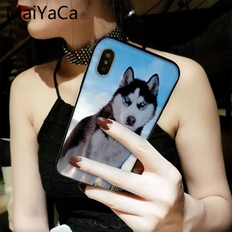 

MaiYaCa Wacky Husky Phone Case fundas for iPhone 12 8 7 6 6S Plus X XS MAX 5 5S SE XR 11 12 pro promax shell