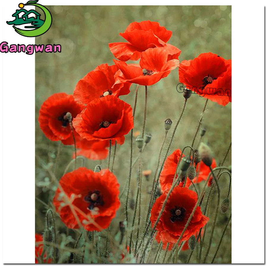 

poppy pattern Diamond embroidery Red flower Full square Round drill 5D DIY diamond Painting Cross Stitch Rhinestone Mosaic gift