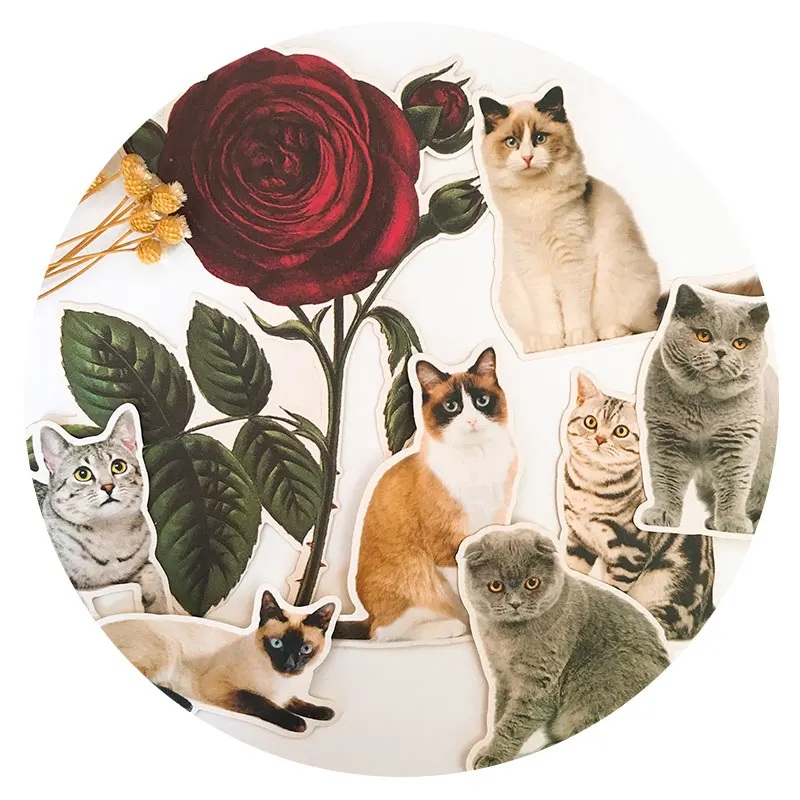 13 шт. DIY милый кот Стикеры дневник фотоальбом для ноутбука/Кот s бумага