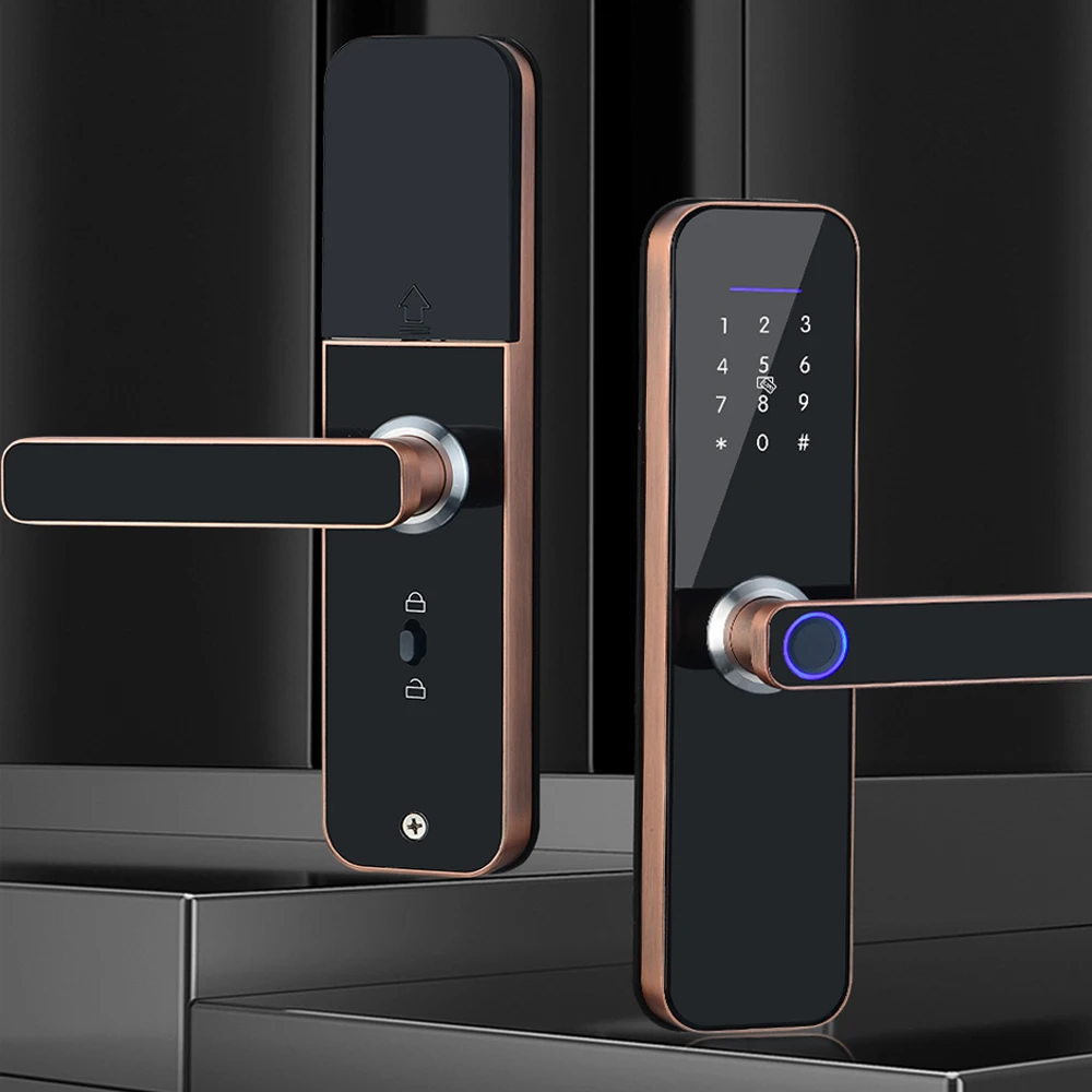 Заводская цена Tuya Wi-Fi TTlock Интеллектуальный дверной замок для умного дома с