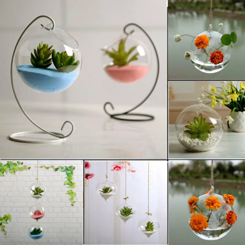 Прозрачная Круглая Стеклянная подвесная ваза для цветов домашнего сада
