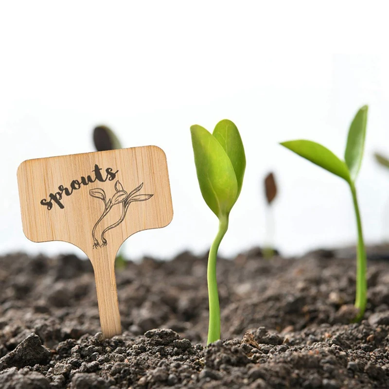 

50 PCS T-Type Bamboo Plant Labels Eco-Friendly Wooden Plant Sign Tags Garden Markers Bonsai Seed Potted Herbs Flowers Supplies