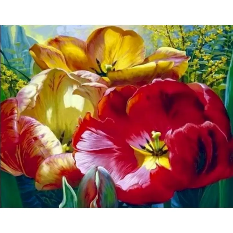 

GATYZTORY Painting By Numbers Flower 60x75cm DIY Paint By Numbers For Adults child Red Flower Frameless Canvas Painting Unique G