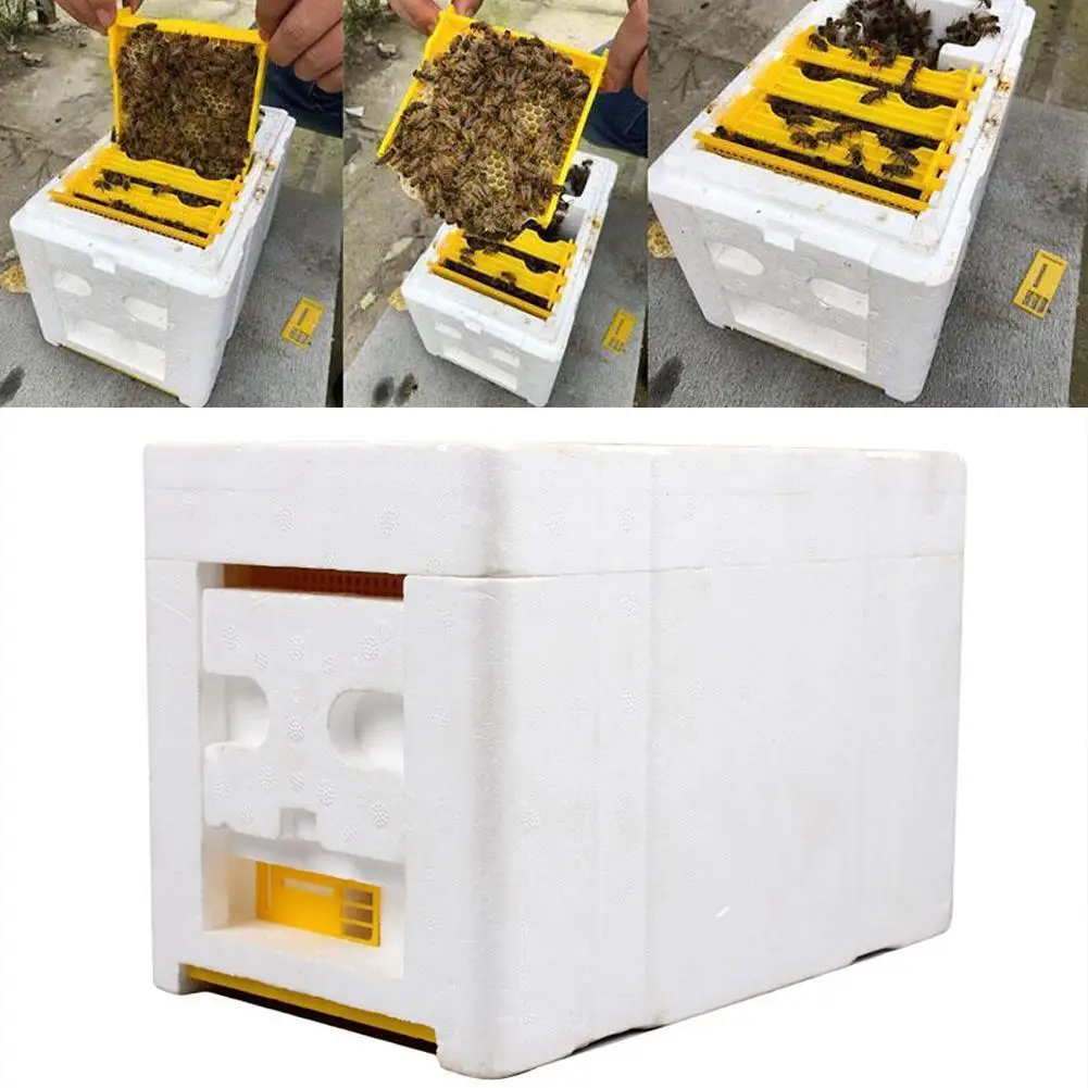 

Home Hive Box Harvest Bee Hive Beekeeping King Box Foam Bee Tool Box Hive Beekeeping Delivery Box Queen Harvest Bee Pollina U5B0