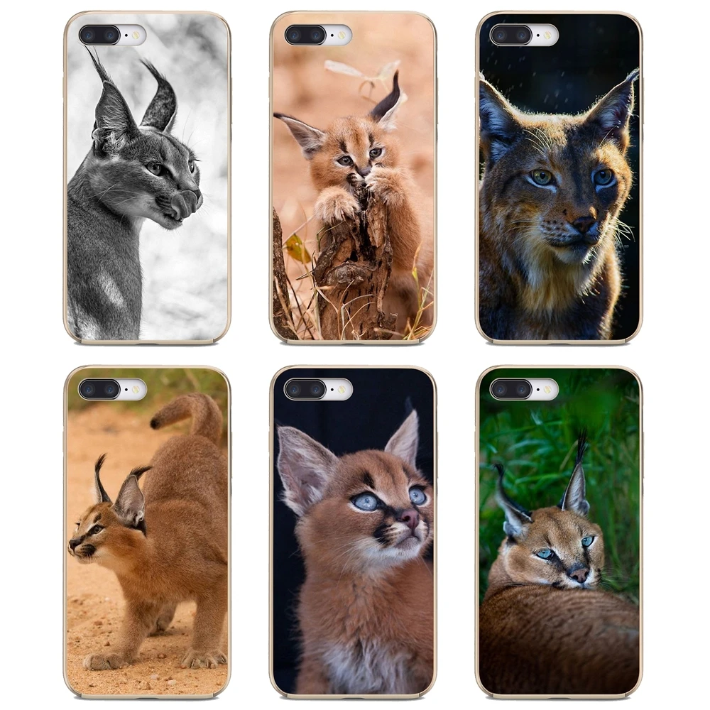 Футляр для телефона с постером "Африканские рыси Каракалсы и котята" для Huawei Mate 20 30 40 7 8 9 10 Lite Pro P Smart 2018 2019 Plus G7 G8.