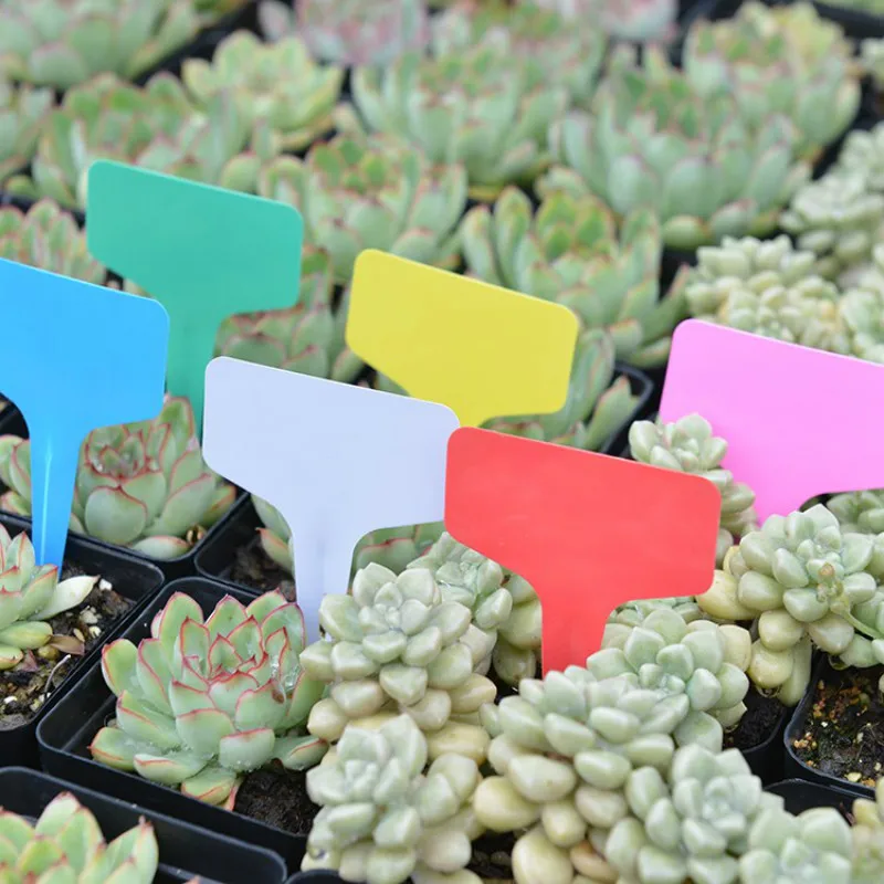 30 pcs Plastic Many colors T-type kindergarten plants Labels flower pot thick tag marker for garden ornaments ins | Дом и сад