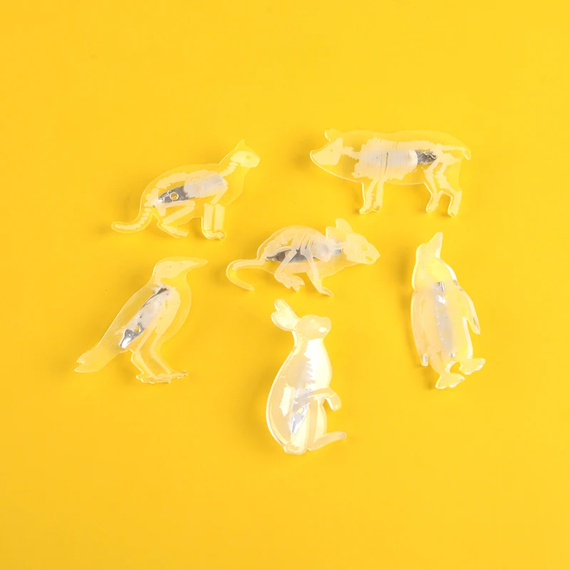 Значок для научных исследований брошь в виде животного скелета образца