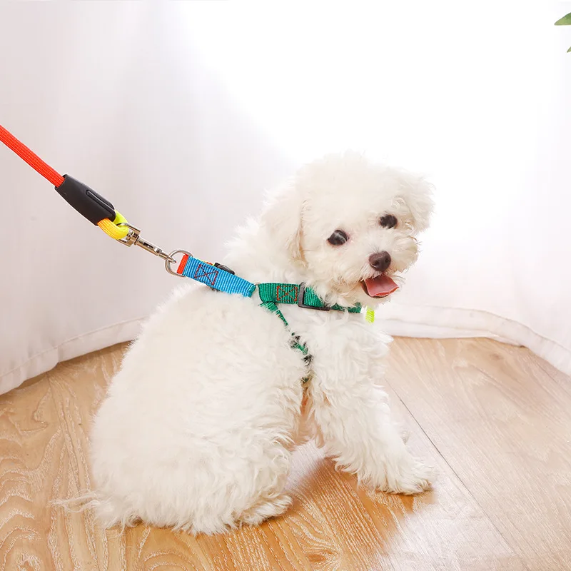 

Набор нейлоновых регулируемых поводков для собак, Радужный цветной поводок для прогулок с кошками, малыми и средними питомцами