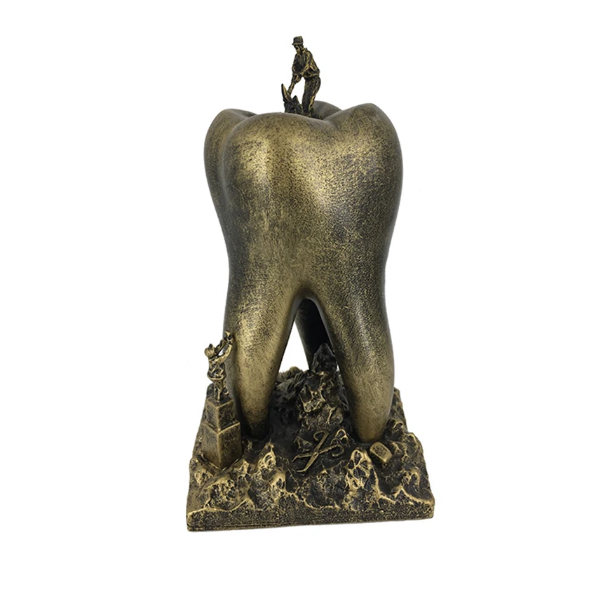 

Teeth Model Crafts, Resin Dental Clinic Desktop Display Cabinet Decoration Sculpture Clinic Decoration Dentist Office Furnishing