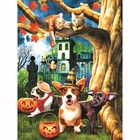 100% полная Алмазная 5D картина сделай сам, животные на Хэллоуин, вышивка крестиком, алмазная вышивка шаблоны Алмазная мозаика Mosaic