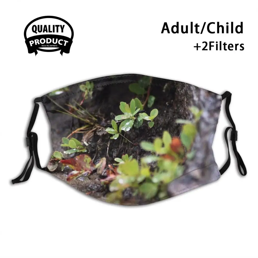 

Wild Nature Reusable Mouth Mask Washable Filter Anti Dust Face Masks Norway Nature Wild Color Rain Wet Fresh Dark Ground Plant