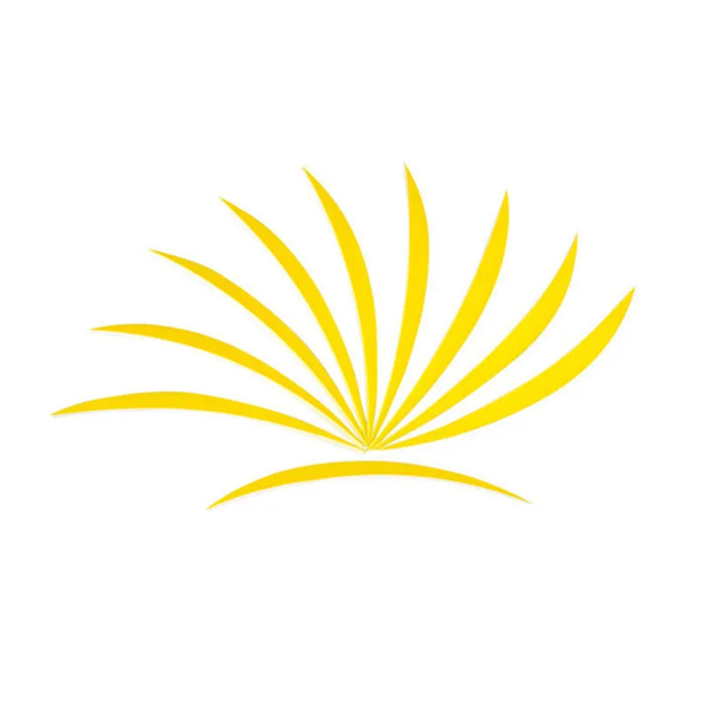 Стрельба из лука 5 дюймов натуральные перья индейки левое крыло инкрустированный