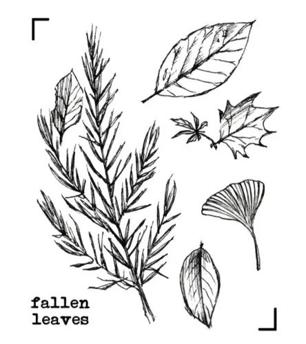 Moodtape винтажный деревянный прозрачный Штамп для DIY скрапбукинга/фотоальбома декоративная печать листья шишка желуди резиновый штамп - Цвет: luoye