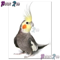 5d animal parrot diamond painting cross stitch diy full squareround embroidery picture rhinestone modern home decoration
