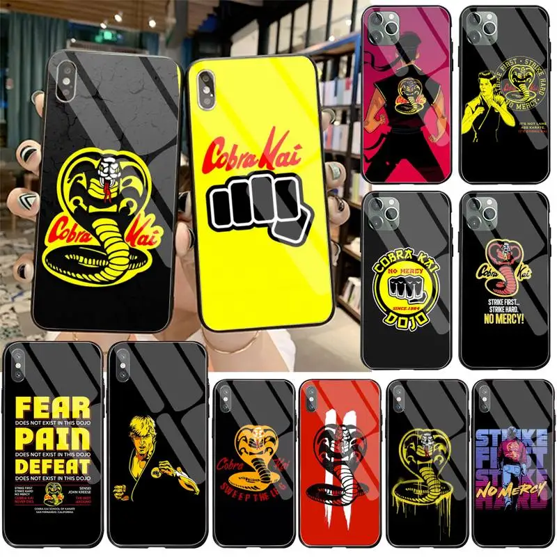 Мягкий чехол для телефона HUAGETOP Cobra Kai сезон 2 из закаленного стекла iPhone 11 Pro XR XS MAX 8X7