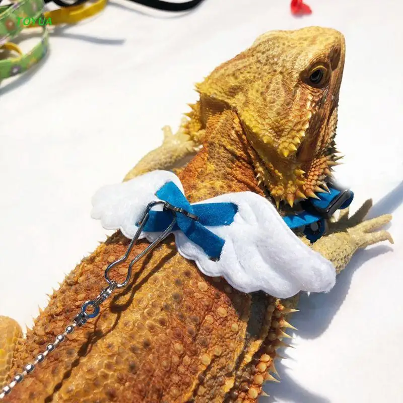 

1XCC Reptile Leash Turtle Lizard Bearded Dragon Adjustable Outdoor Training Soft Leash Rope