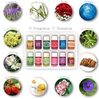 12 бутылок 3 мл эфирные масла для спа-растений с ароматическим ароматерапевтическим маслом бытовые товары для ежедневного использования ароматизатор для домашнего ухода за воздухом