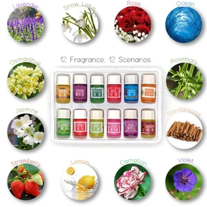 12 бутылок 3 мл эфирные масла для спа-растений с ароматическим ароматерапевтическим маслом бытовые товары для ежедневного использования ароматизатор для домашнего ухода за воздухом