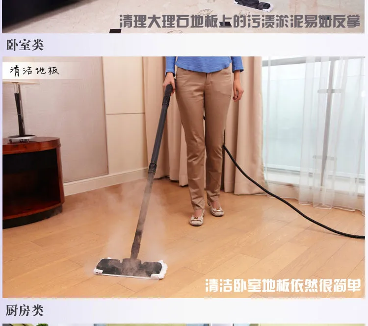 Multifunctional Steam Cleaner Car Sauna Machine High Pressure Cleaning Car Air Conditioning Fumigation Sterilization