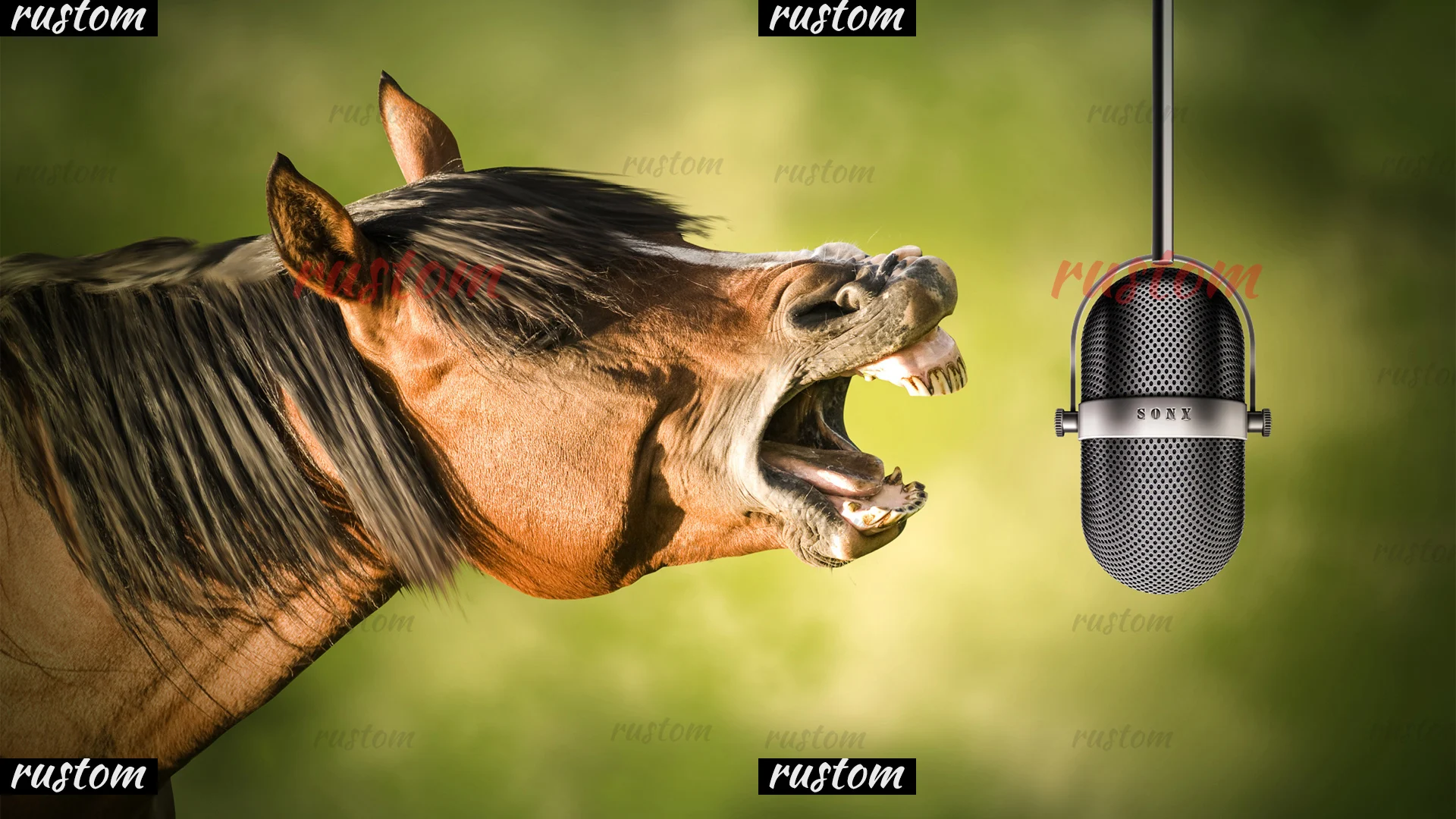 

Алмазная 5d мозаика «сделай сам», полноразмерная круглая вышивка, алмазная живопись, лошадь