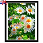 Алмазная вышивка с цветочным рисунком, полноразмерная вышивка крестиком, маленькая Маргаритка, натуральный пейзаж, 5D картина из круглых страз, мозаика для декора