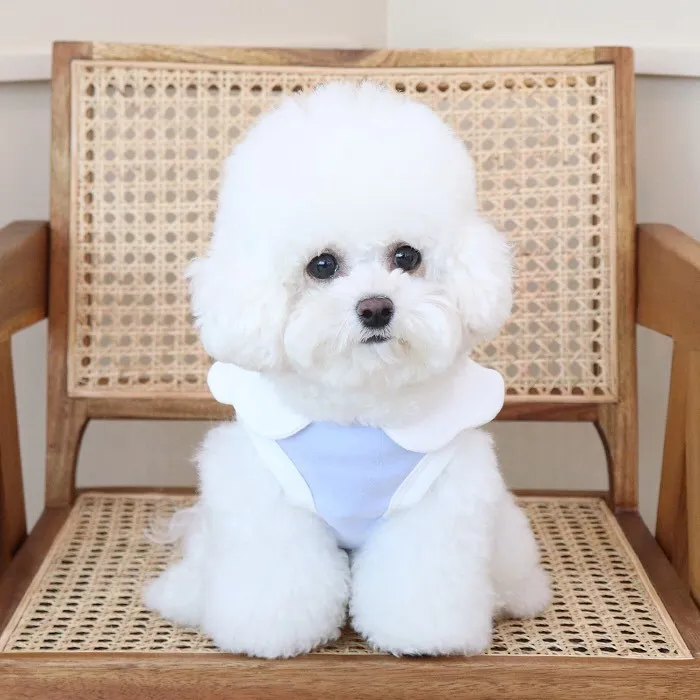 

Spring And Summer Small Dog Pullovers Breathable Vest For Puppies Chihuahua Coat Jacket Cute Pet Clothes Clothing
