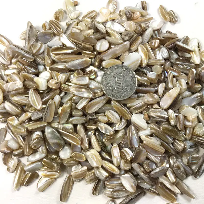 Прямая поставка 50 г 3 вида ракушек искусственные кварцевые кристаллы