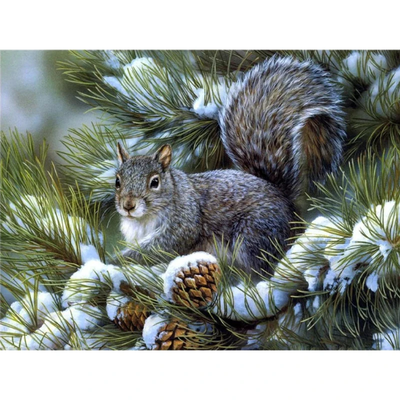 

RUOPOTY 60x75cm Frame Diy Oil Painting By Numbers Kits For Adults Squirrel Animal Picture Handmade Art Unique Gift Home Decors