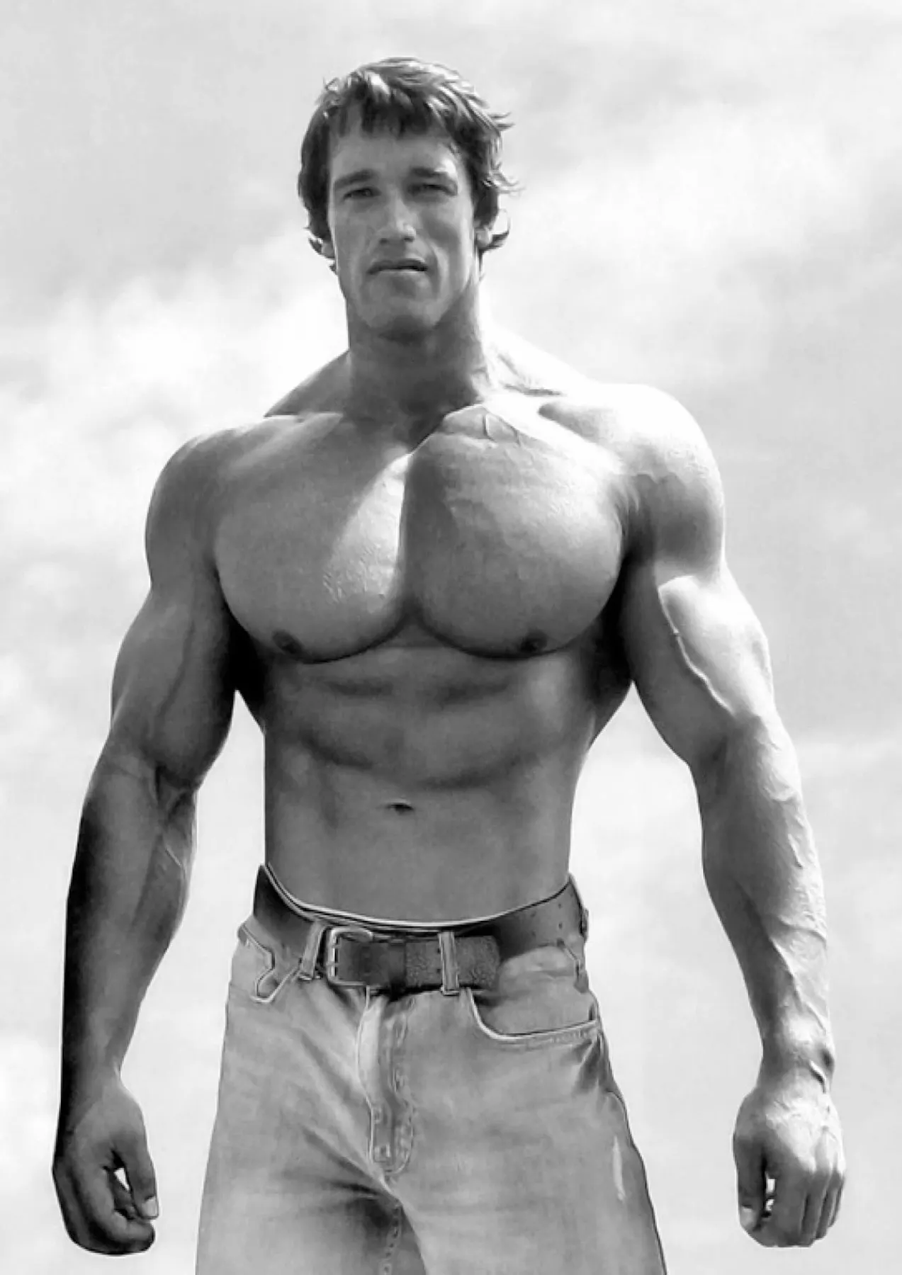 

ARNIE SCHWARZENEGGER - Muscle Picture Art Silk Poster Print 24x36inch