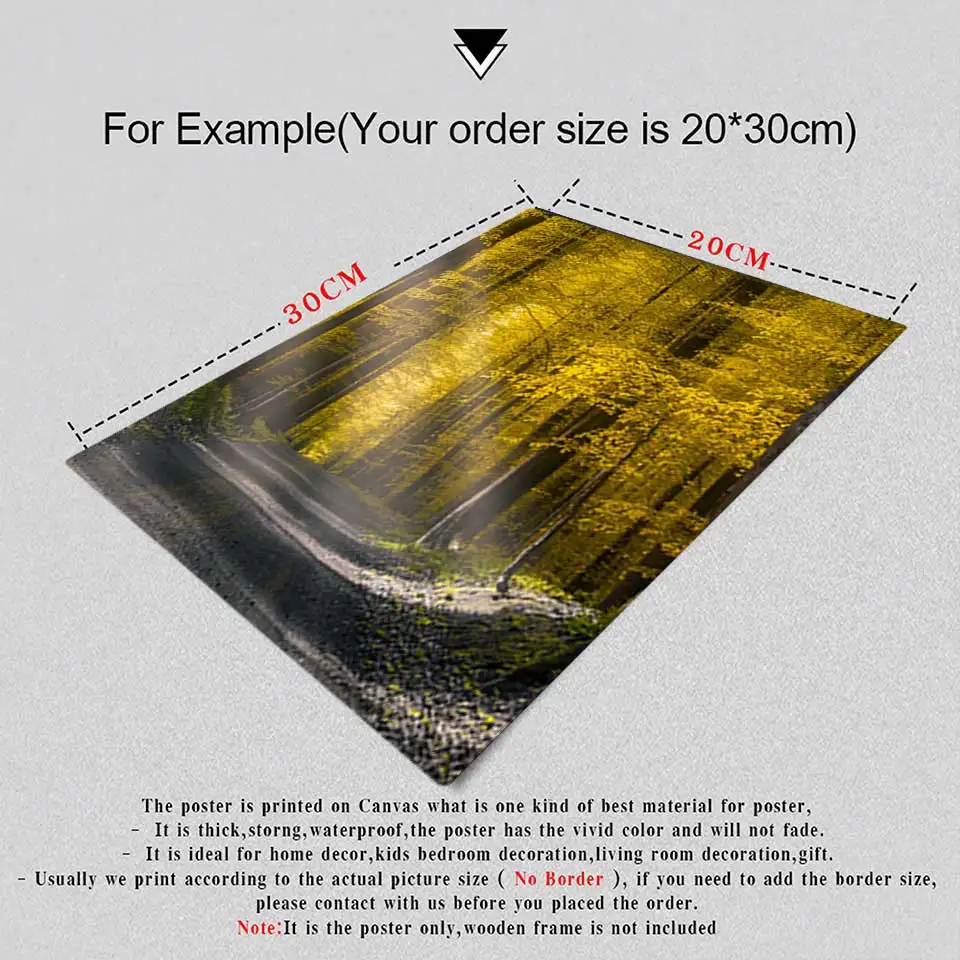 Современный скандинавский Солнечный свет плакат с изображением леса холст