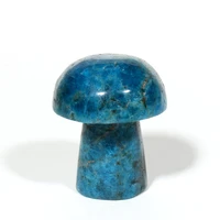 natural apatite crystal quartz mushroom for decoration 1 pack contain 10 pieces