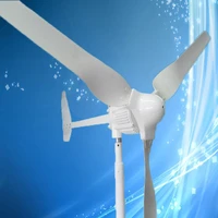1000w1500w2000w wind turbine generator wind controller included low start up wind mill 24v48v for home use and street light