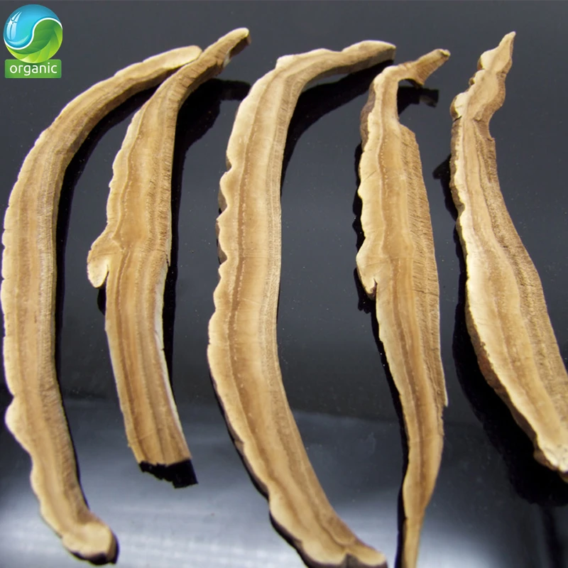 

Organic New Green Food Chinese Health Wild Lingzhi Red Reishi Mushrooms Mushroom Ganoderma Lucidum Slices Herbs Lingzhi Tea