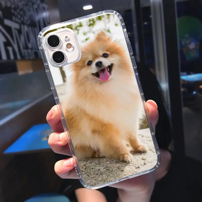 

Pomeranian dogs dog Phone Case Transparent soft For iphone 5 5s 5c se 6 6s 7 8 11 12 plus mini x xs xr pro max