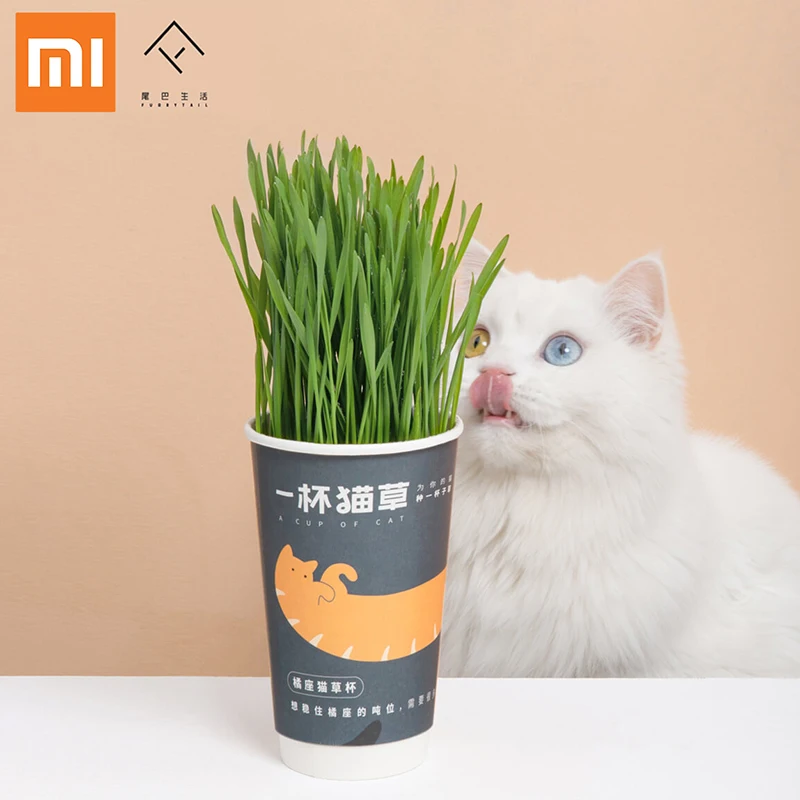 Xiaomi FURRYTAIL чашка CATNIP используемая для добавления кошачьей пищи чтобы