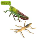 Экшн-фигурки для рептилий, ПВХ, саранча, Коллекция Модель насекомого, миниатюрные обучающие игрушки для детей, подарок