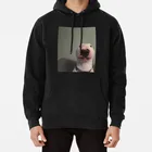 @ Pupperнельсон: Уолтер искусственные игрушки Нельсон, бультерьер, Нельсон, Кард, собака, Уолтер, мем, бультерьер