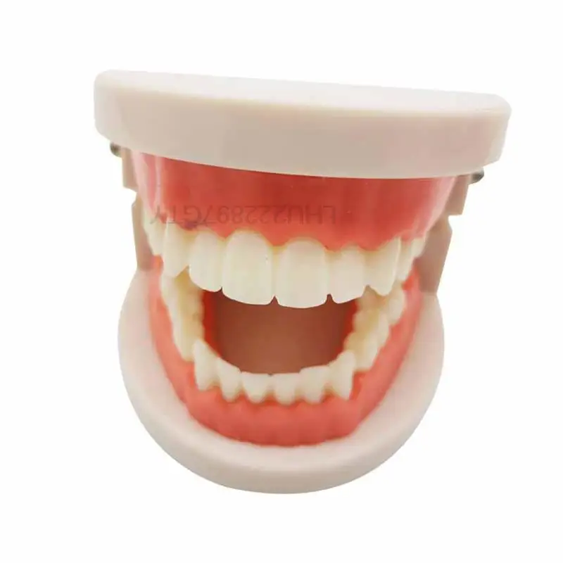 

Обучающие игрушки для детей, интеллектуальное обучение чистке зубов