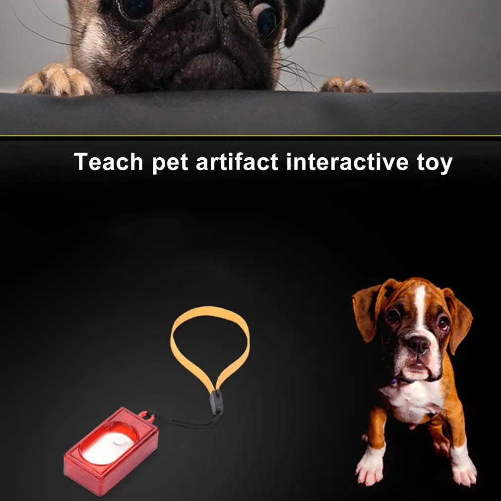 Квадратный тренажер для домашних животных маркер края муddle золотые волосы