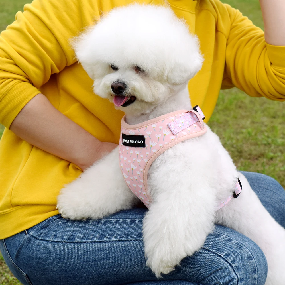 Adjustable Pet Dog Collar Durable Soft Cute Creative Colored Dandelion Design Leash Neoprene Harness With Poop Bag Dispenser images - 6