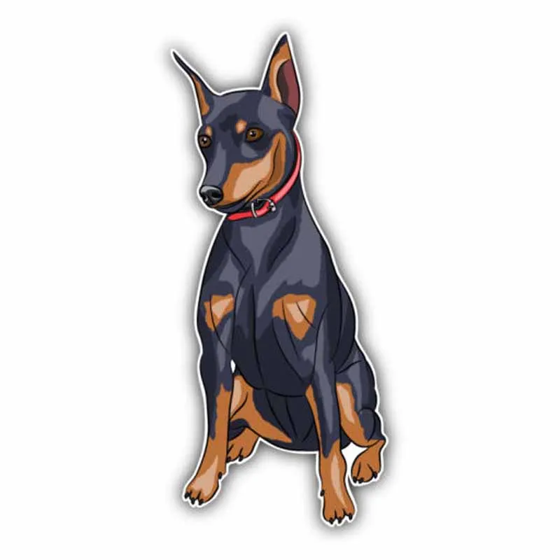 

Personality Miniature Pinscher Breed Dog Car Stickers Motorcycle Decals Decals Auto for Waterproof Sunscreen PVC 17cm X 8cm