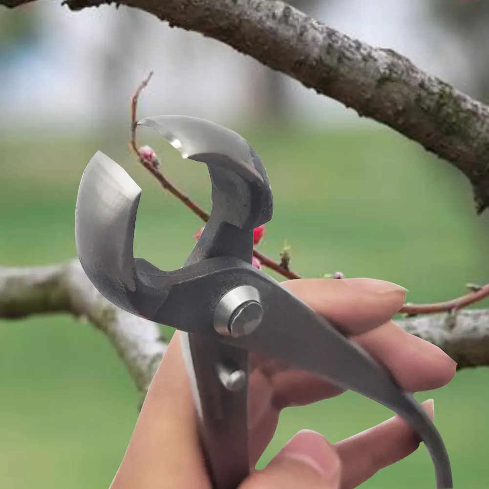 

210mm Bonsai Scissor Stainless Steel Garden Tree Pruner Shears Wire Cutter Branches Cutter Knife Scissors Bonsai Trimming Tool