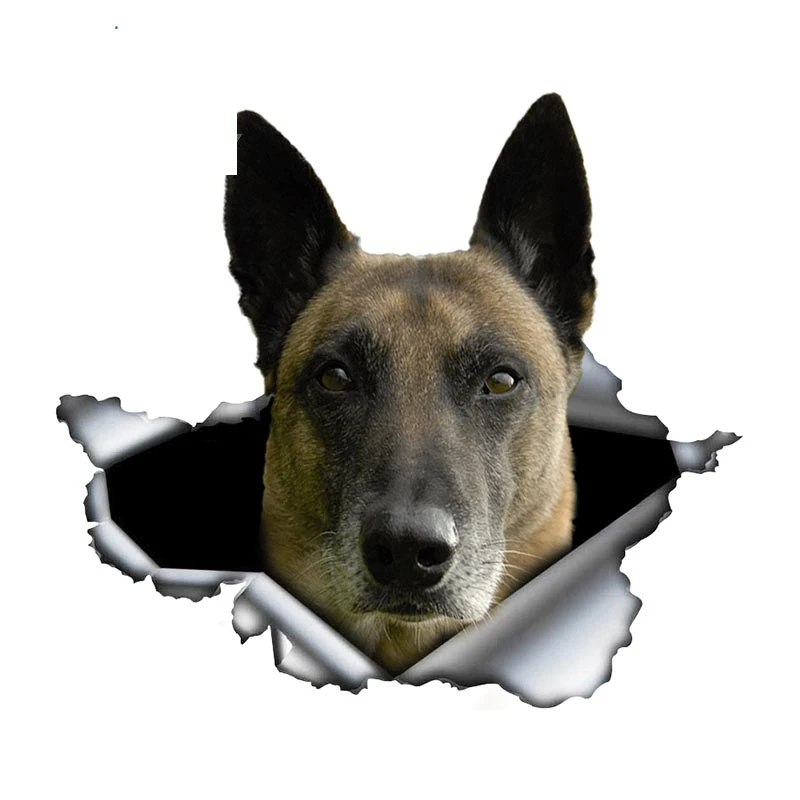 

Belgian Malinois Car Sticker Torn Metal Decal Reflective Stickers Waterproof Shepherd Pet Dog Decals KK13*9cm