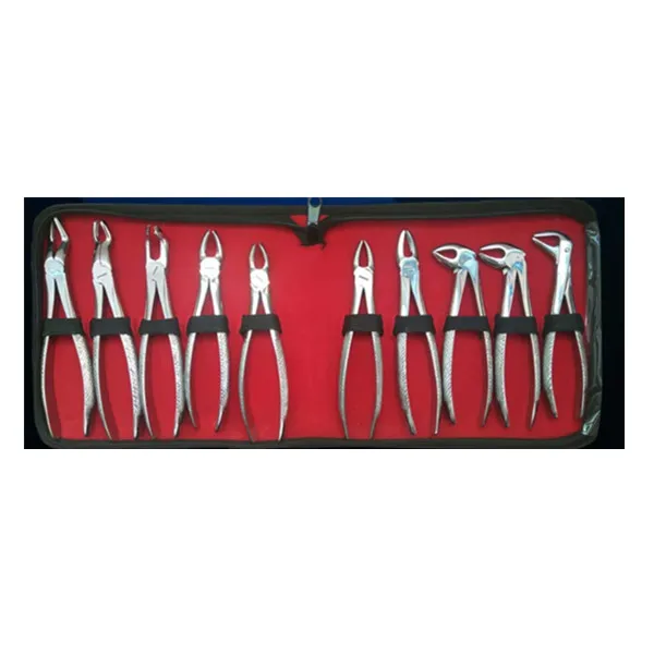 

Surgical Instrument Stainless Steel Dental Extracting Forceps